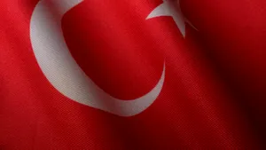 Turcia ia în considerare desfăşurarea de forţe de menţinere a păcii în Ucraina