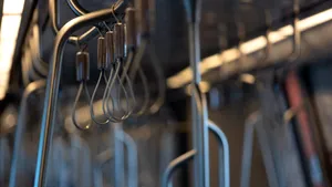 Programul Metrorex de Sărbători. Cum circulă metroul de Crăciun și Revelion