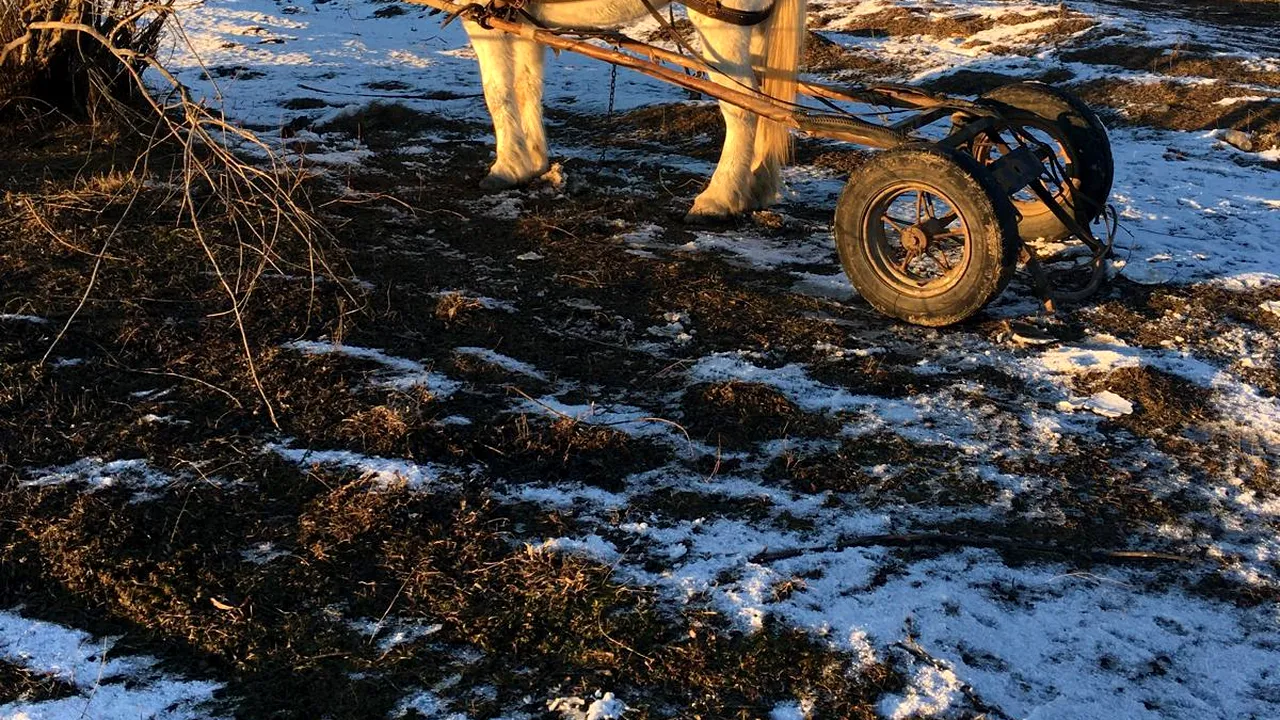UPDATE. Un bărbat este căutat în râul Moldova. Căruţa acestuia a fost găsită în apă