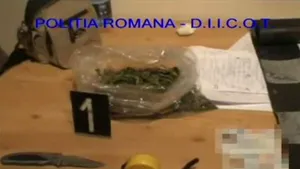 Doi participanţi la Tabăra Tineretului Maghiar din Ardeal, prinşi cu droguri pe care voiau să le vândă