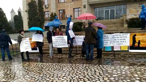 GALERIE FOTO Protest la Iaşi pentru ca două mame, acuzate de răpire internaţională, să nu îşi piardă copiii