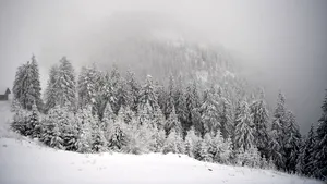 Alerte meteo de Crăciun. Cod portocaliu şi galben de vânt în cea mai mare parte a ţării, viscol şi ninsori la munte. Harta zonelor vizate