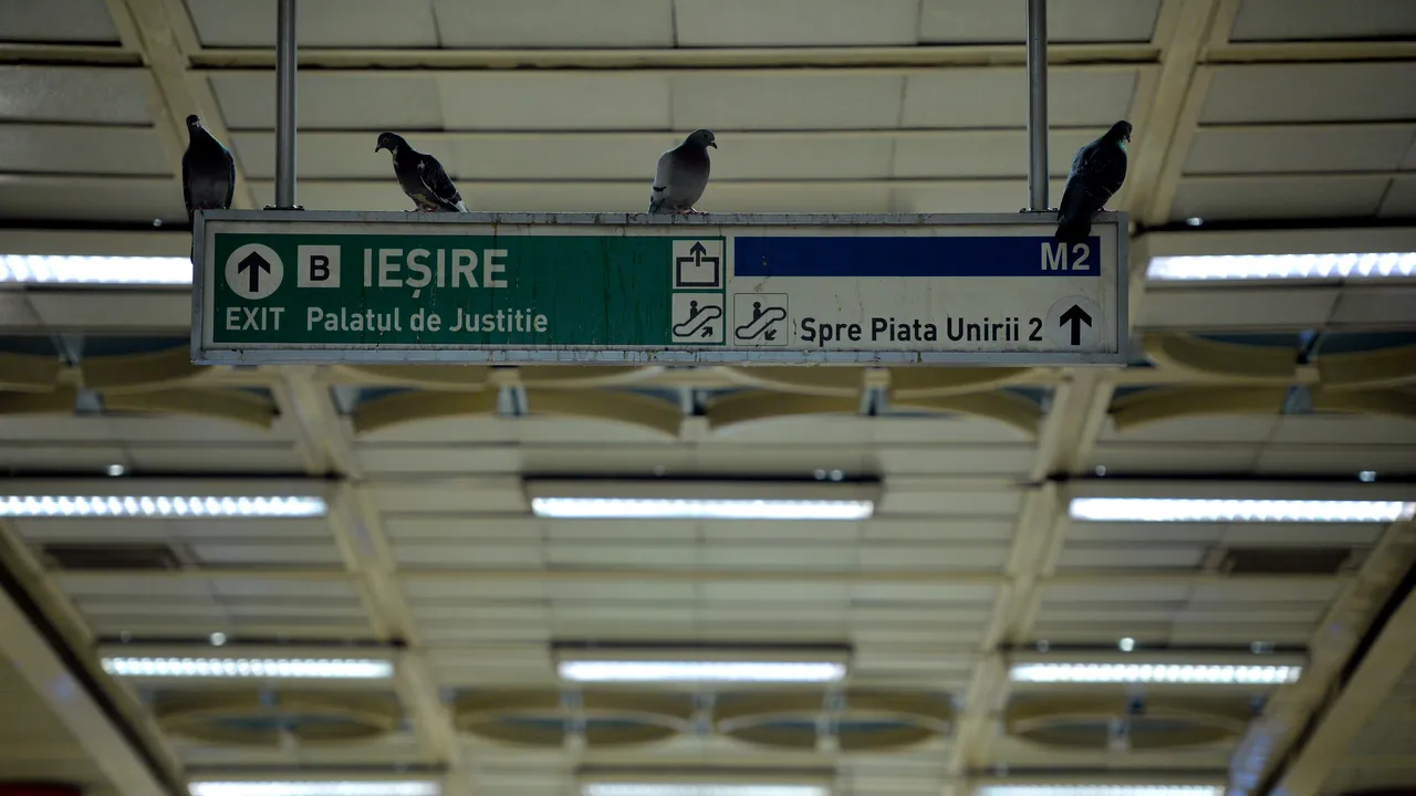 Şoseaua de centură a Bucureştiului şi METROREX ar putea intra în administrarea Primăriei Capitalei. Ce îşi doreşte Gabriela Firea 