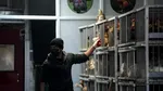 Comisia Europeană planifică măsuri de urgență pentru combaterea gripei aviare în Polonia