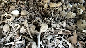 Un bărbat a fost arestat după ce a încercat să „facă o supă” din rămăşiţele unui schelet pe care l-a dezgropat | FOTO