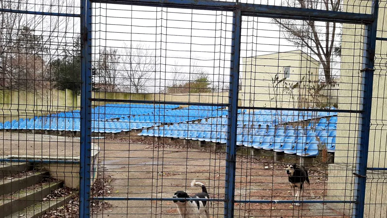 Complexul din Constanţa, lăsat în paragină de statul român. 3.000 de copii fac aici primii paşi în sport, arte sau ştiinţe