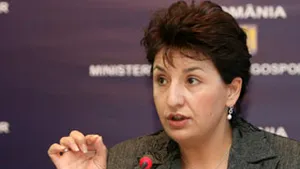 Sulfina Barbu: Vlădescu, susţinut de Tăriceanu, a impus ca taxa auto să fie una fiscală