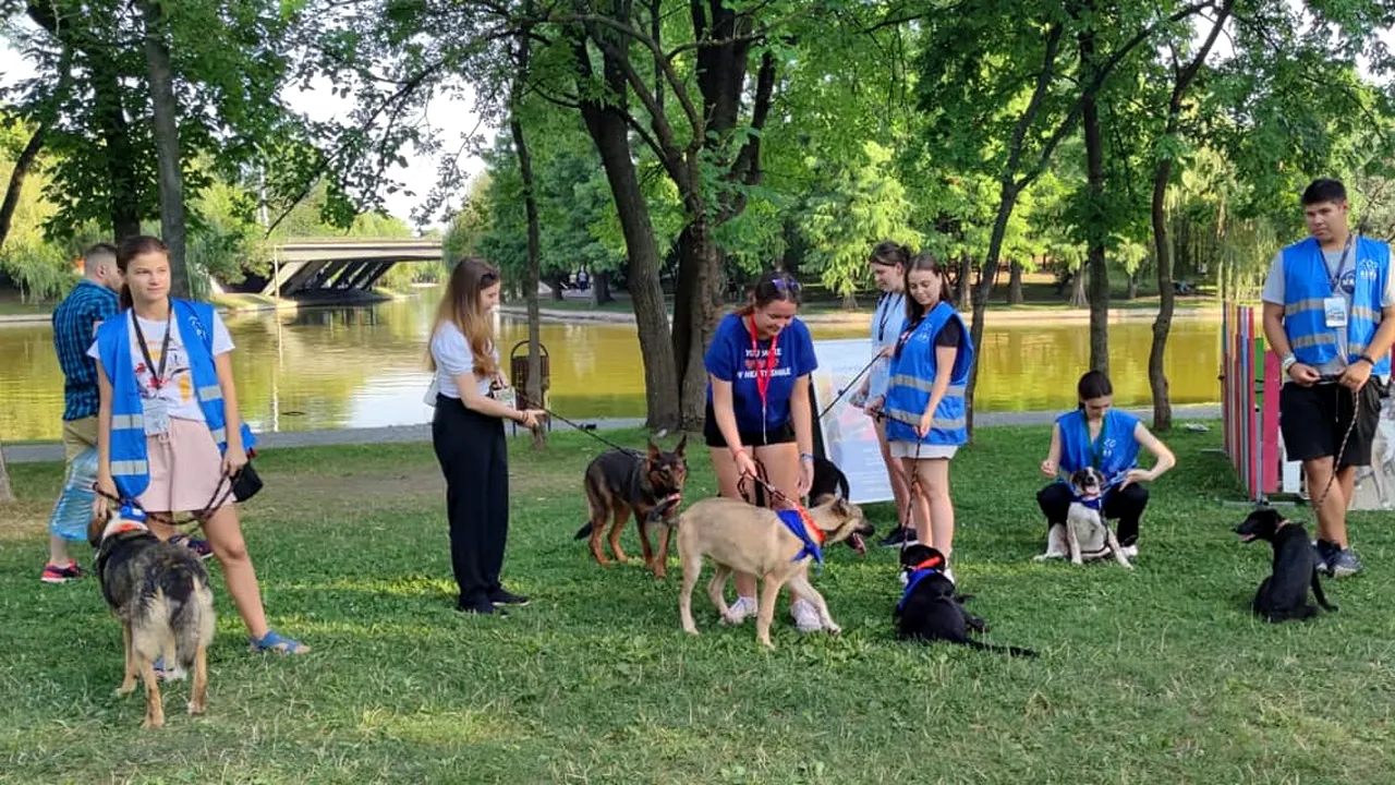 Nicuşor Dan: Există suspiciuni serioase despre ilegalităţi în achiziţia ASPA a ambulanţelor veterinare