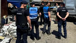 33 de tone de deșeuri confiscate și activități suspendate în urma controalelor Gărzii de Mediu în zona Sintești-Jilava