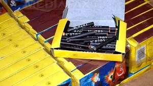Articolele pirotehnice vor trebui etichetate cu număr de înregistrare, care va trebui păstrat 10 ani