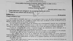 SIMULARE EVALUARE NAŢIONALĂ 2019: Subiecte primite de elevii claselor a VII-a şi a VIII-a la simulare/ UPDATE