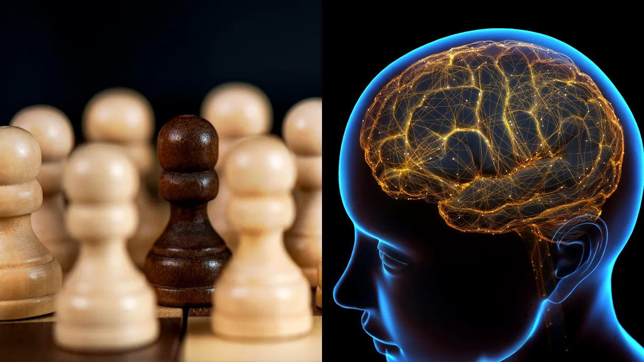 Vârsta la care abilităţile cognitive ale omului ating apogeul. Studiul s-a întins pe o perioadă de 125 de ani 