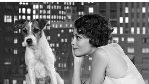 Uggie, starul canin al filmului 