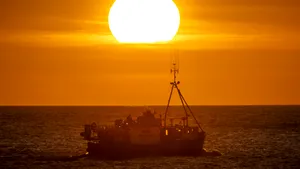 Poluare toxică în Marea Britanie: „chimicalele eterne” au contaminat ecosistemul marin