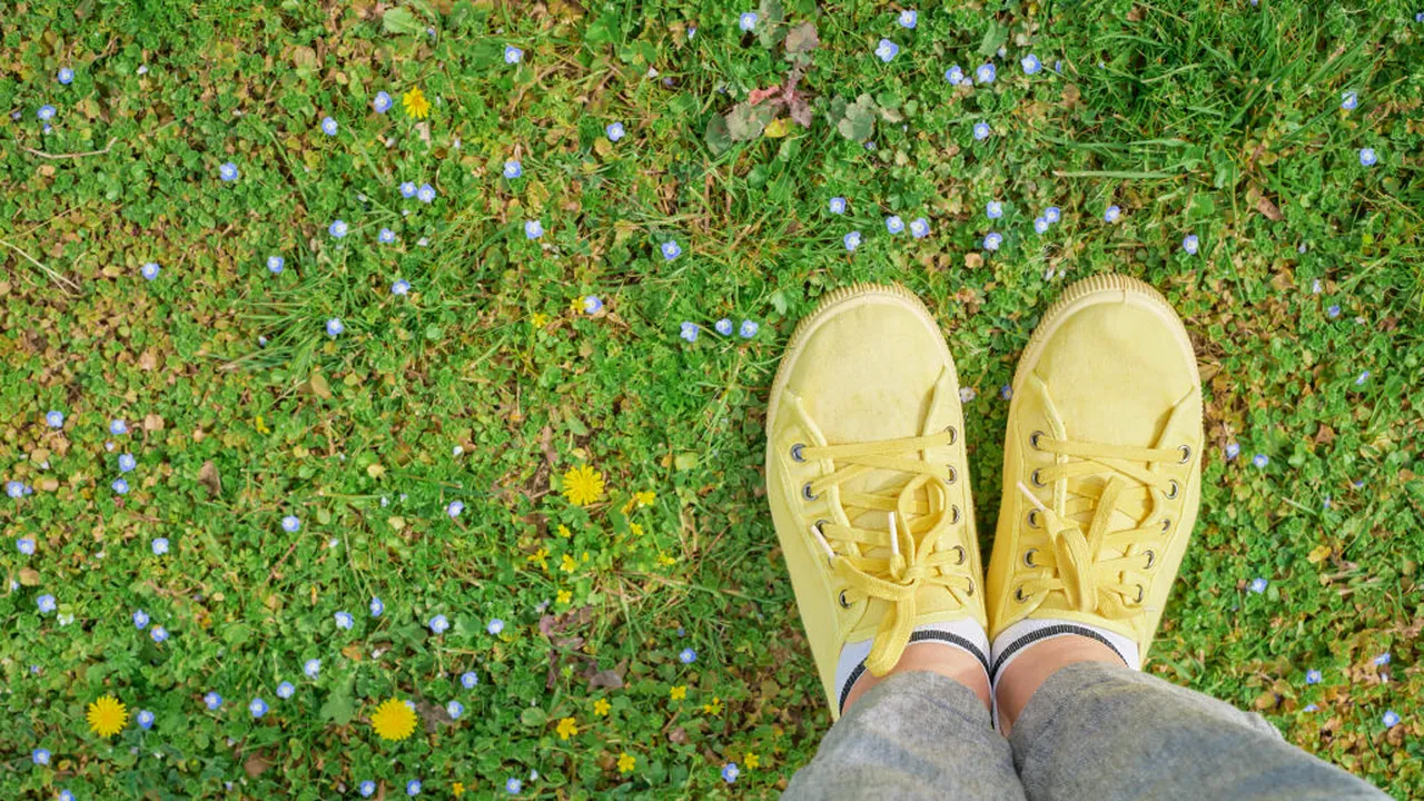 „Efectul noului început