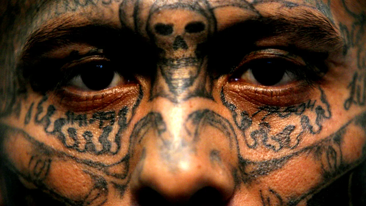 Motivul economic din spatele tatuajelor pe care le au membri cartelurilor de droguri - GALERIE FOTO