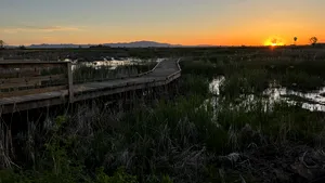 Marele Lac Sărat este 