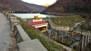 Micii producători de energie verde riscă insolvenţa sau falimentul în cel mult un an - director