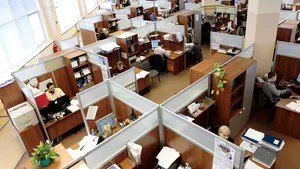 SONDAJ: Un angajat din cinci crede că lucrează în domeniul nepotrivit şi îşi doreşte o reconversie profesională