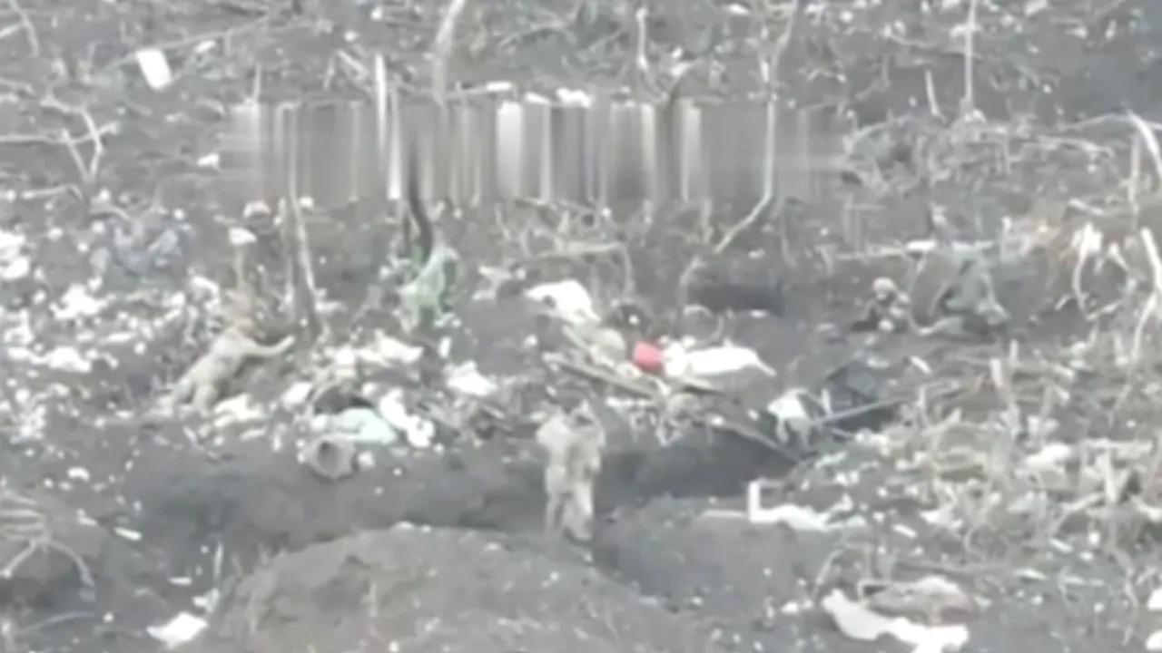 Prizonieri de război ucraineni executaţi: videoclip din regiunea Zaporojie

