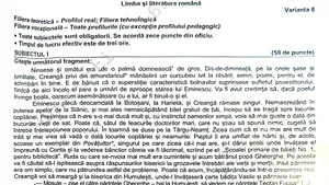 Barem Bacalaureat 2023. Ce vor puncta profesorii când vor corecta lucrările la Limba şi literatura română
