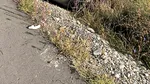 Grav accident rutier în județul Buzău. 7 persoane au ajuns la spital