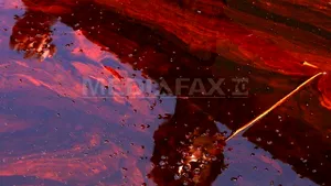 Scufundarea platformei BP a provocat scurgerea a aproximativ 4,5 mil. barili de ţiţei în Golful Mexic
