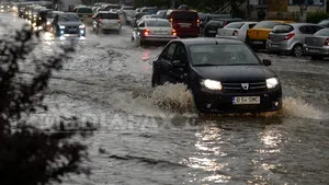 Oprescu: Am avut 107 sesizări privind străzi, pasaje şi curţi inundate sau copaci căzuţi în Capitală