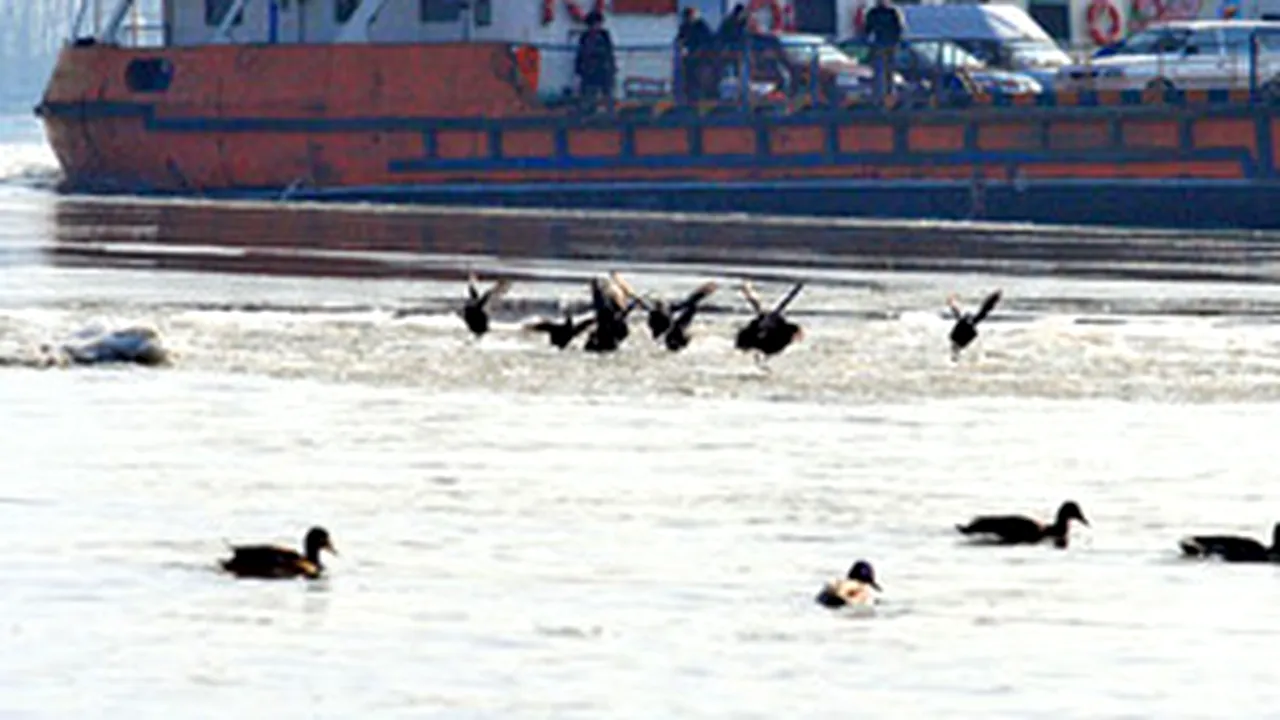 New Romania - Bulgaria Ferry Line To Be Launched In Oct - Press