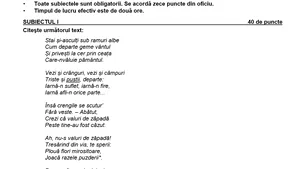 Eroare la simularea de la Evaluarea Naţională la limba română. Poezia unui poet german, atribuită lui St. O. Iosif