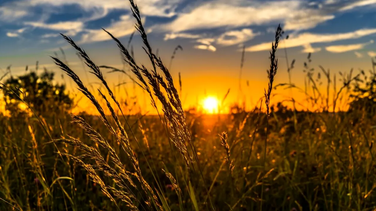 Prognoza pentru patru săptămâni: temperaturile scade la finalul lui iulie, apoi cresc din nou