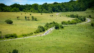Colinele Transilvaniei pe bicicletă. Carpathia Bike Tour revine pe 31 mai 2025: Înscrieri deschise pentru ediţia a IV-a 