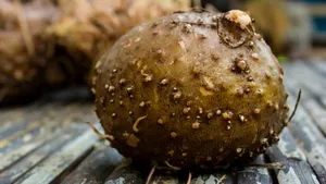 Dieta japonezilor: cum reuşesc să fie slabi şi să trăiască mult