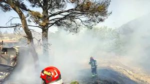 Pompierii români intervin în forță în Grecia. Luptă cu flăcările în regiunea Attica
