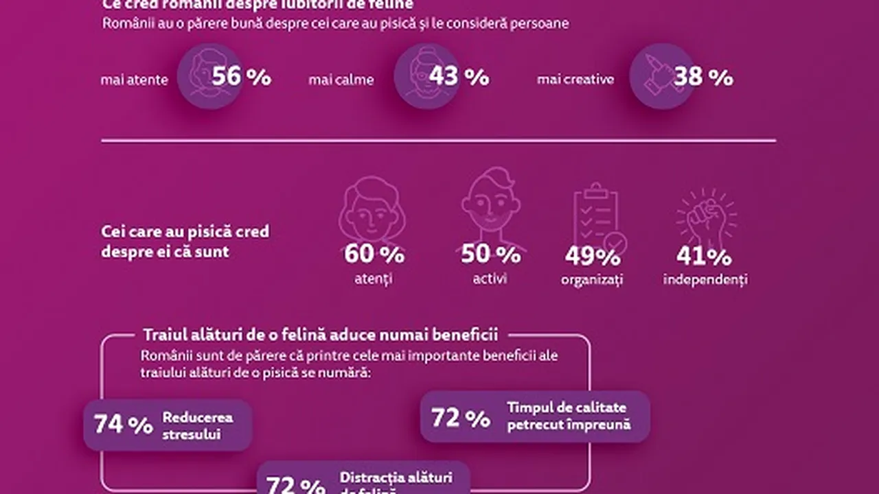 Studiu Whiskas: 71% dintre români cred că viaţa lor s-a îmbunătăţit de când au pisică