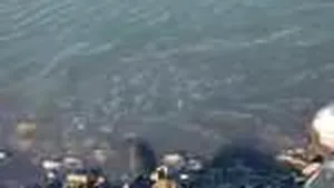 La extremă: Un tânăr a făcut baie în mare, la Constanţa, de Ziua Naţională: „Hai România! ”