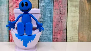 S-au inventat toaletele anti-sex: Ce se întâmplă în cazul în care în cabină apar mişcări bruşte sau suspecte 