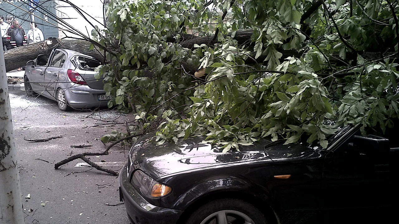 Rupere de nori în Capitală: Străzi inundate şi copaci căzuţi peste maşini/ Inundaţii şi în Sibiu, după ploile din ultima oră [FOTO, VIDEO]