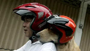 MEDIAFAX ZOOM - Viaţa cotidiană: Martie 2013 - GALERIE FOTO