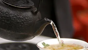 Afacere dintr-o bacterie. Mihai şi Florin produc la Cluj o băutură artizanală cu ajutorul ciupercii kombucha