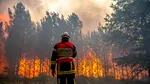 Intervenție de urgență în Argeș, unde arde o pădure în Vinerea Mare