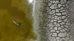 Europa se usucă sub efectul valurilor de căldură. România pierde peste un milion de hectare de culturi, iar experții avertizează că seceta nu mai este cauzată doar de lipsa ploilor
