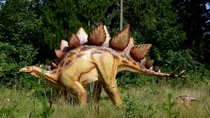 Sute de urme de dinozaur, vechi de peste 200 de milioane de ani, au fost  descoperite pe un munte italian