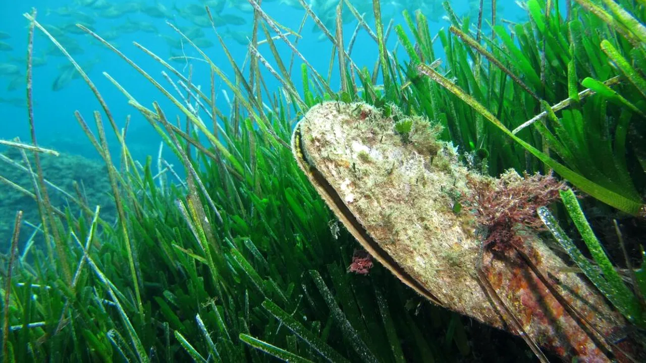 Un turist riscă până la 12.000 de euro amendă pentru un gest făcut pe plajă