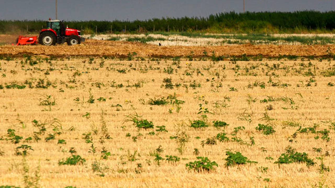 Oros: Am alocat 850 de milioane de lei pentru despăgubirea fermierilor afectaţi de secetă