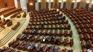 Senator ALDE: PNL vrea o CCR care să nu decidă conform principiilor statului de drept, ci potrivit unor ordine „primite din diverse păduri de lângă Bucureşti”