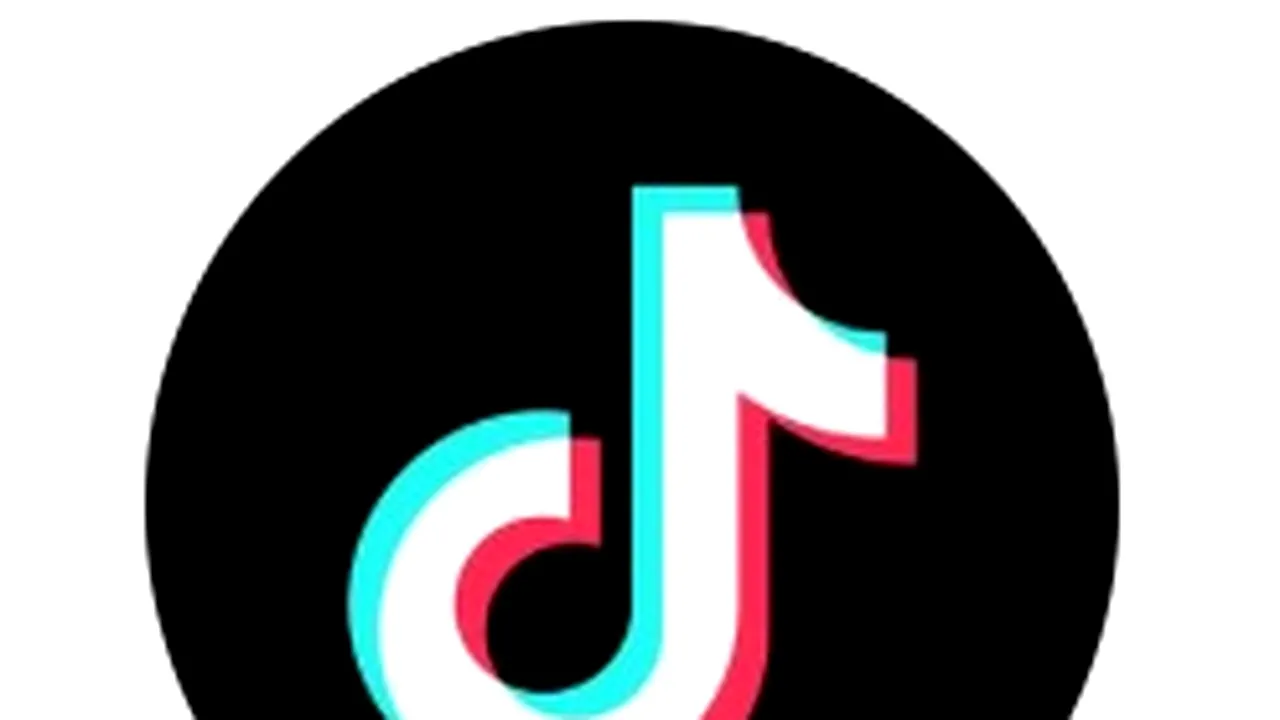 #PetTok: animalele care au cucerit TikTok și comunitățile construite în jurul lor