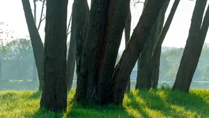 Bucureştiul va avea un nou parc. Zona unde va fi amenajat parcul „Tudor Arghezi” 