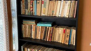 Idee inedită la Cluj. Un scriitor a lansat în pandemie biblioteca din scara blocului