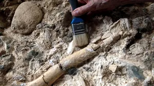 Scheletul celui mai vechi strămoş al erbivorelor, descoperit de paleontologi